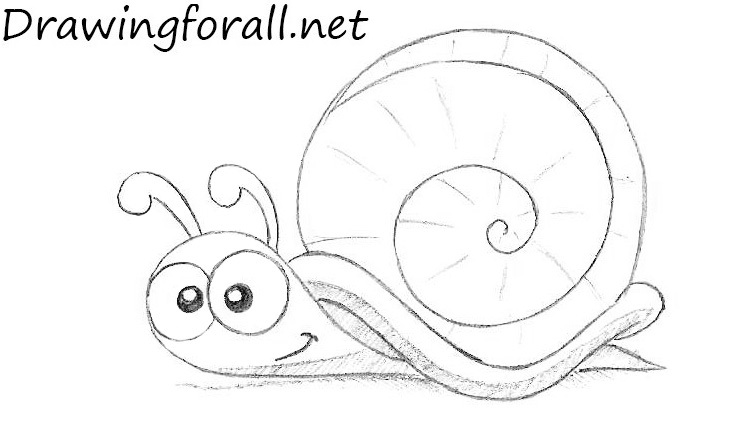 How to Draw a  cartoon Snail