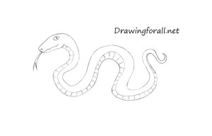 How to Draw a Cartoon Snake