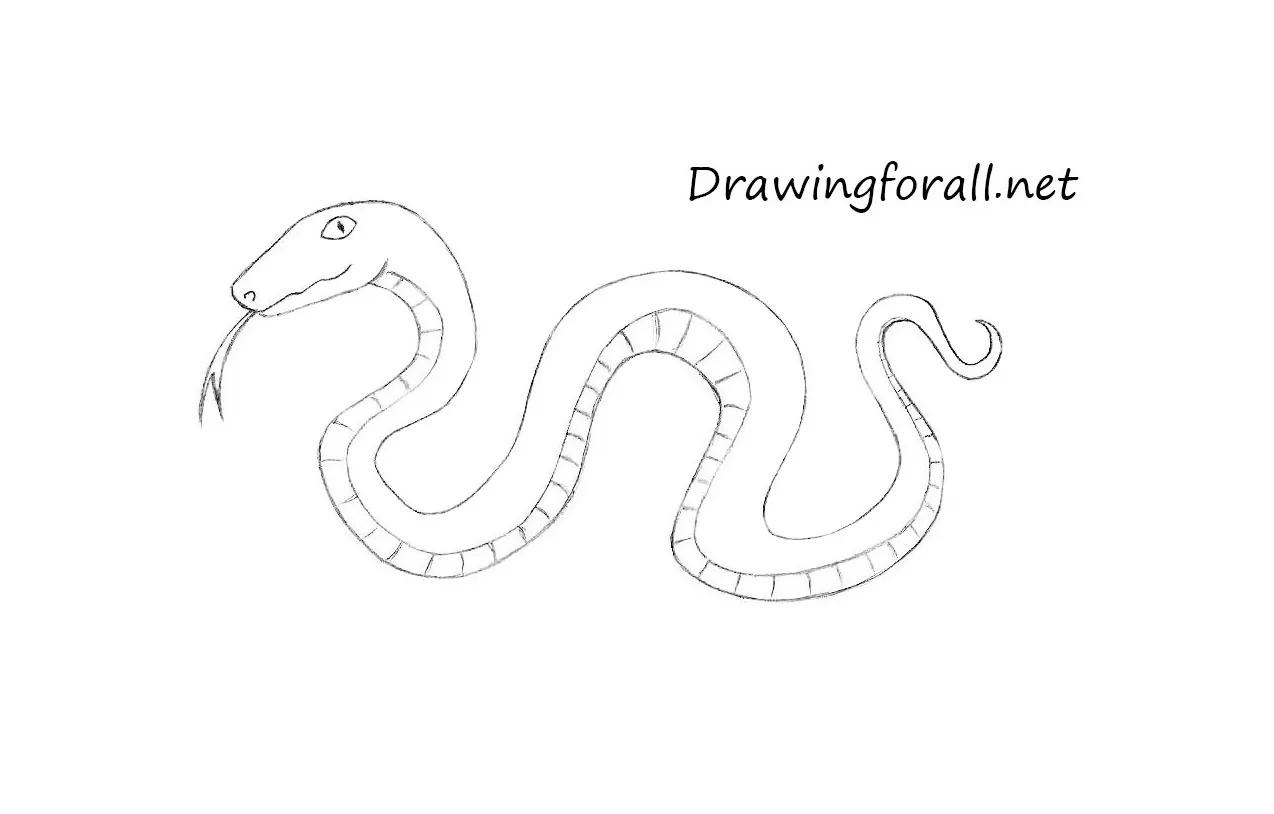 How to Draw a Cartoon Snake