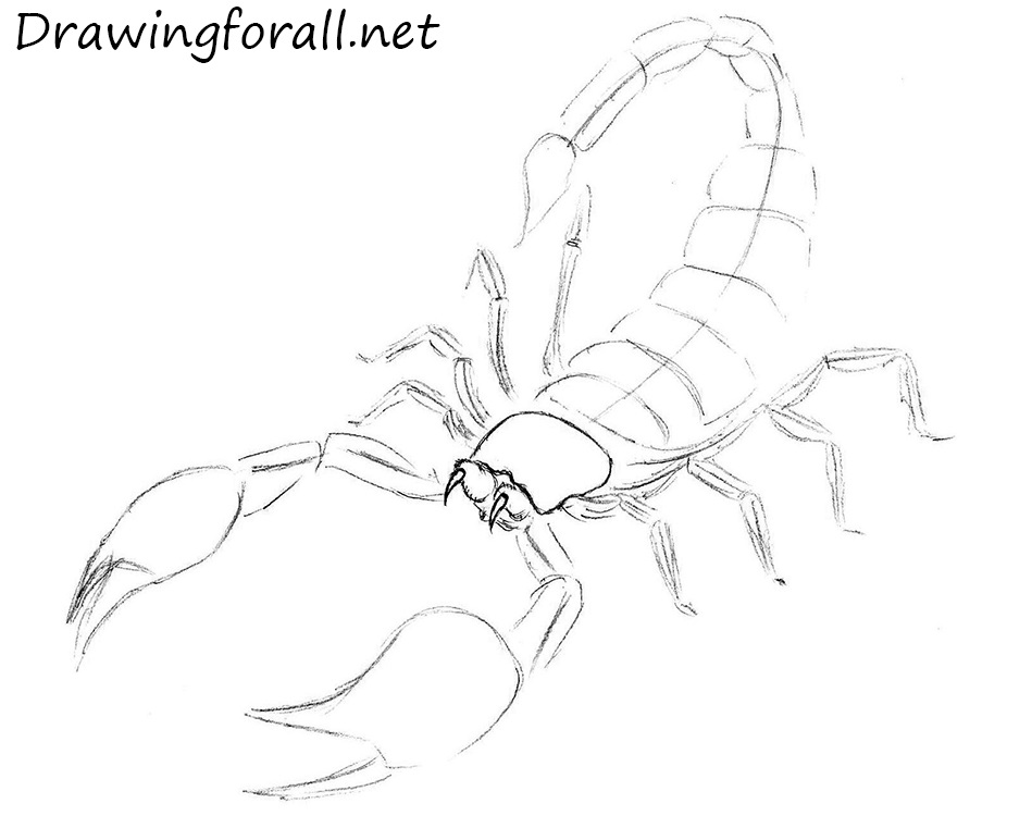 scorpion how to draw