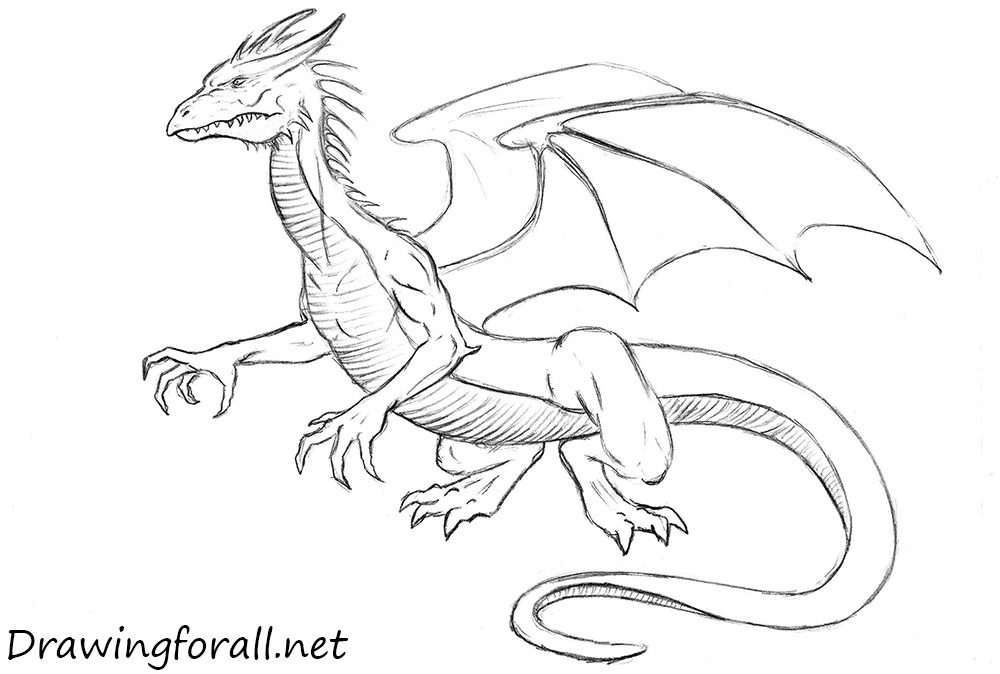 drawing of dragons