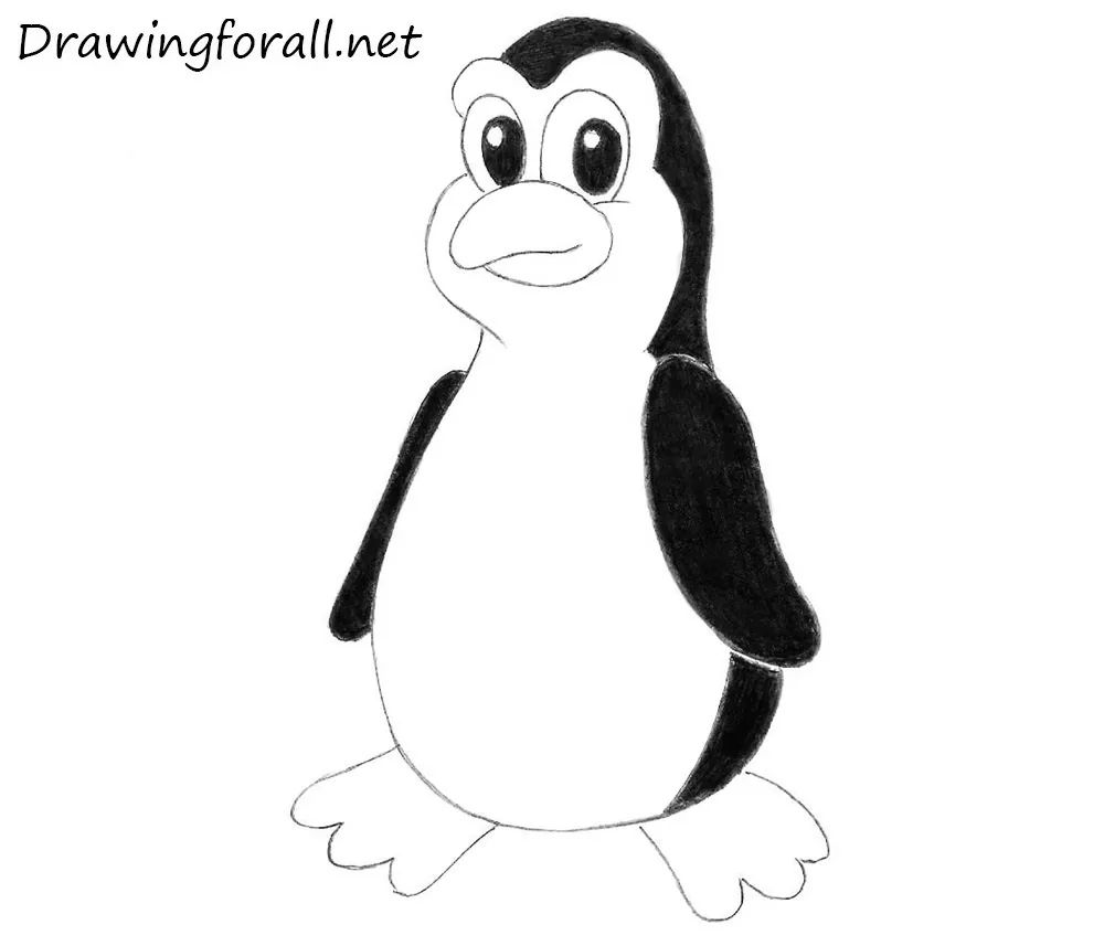 how to draw a cartoon penguin