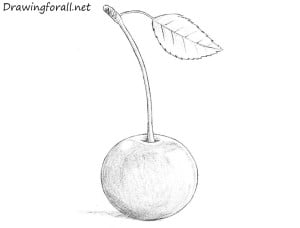 How to Draw a Cherry