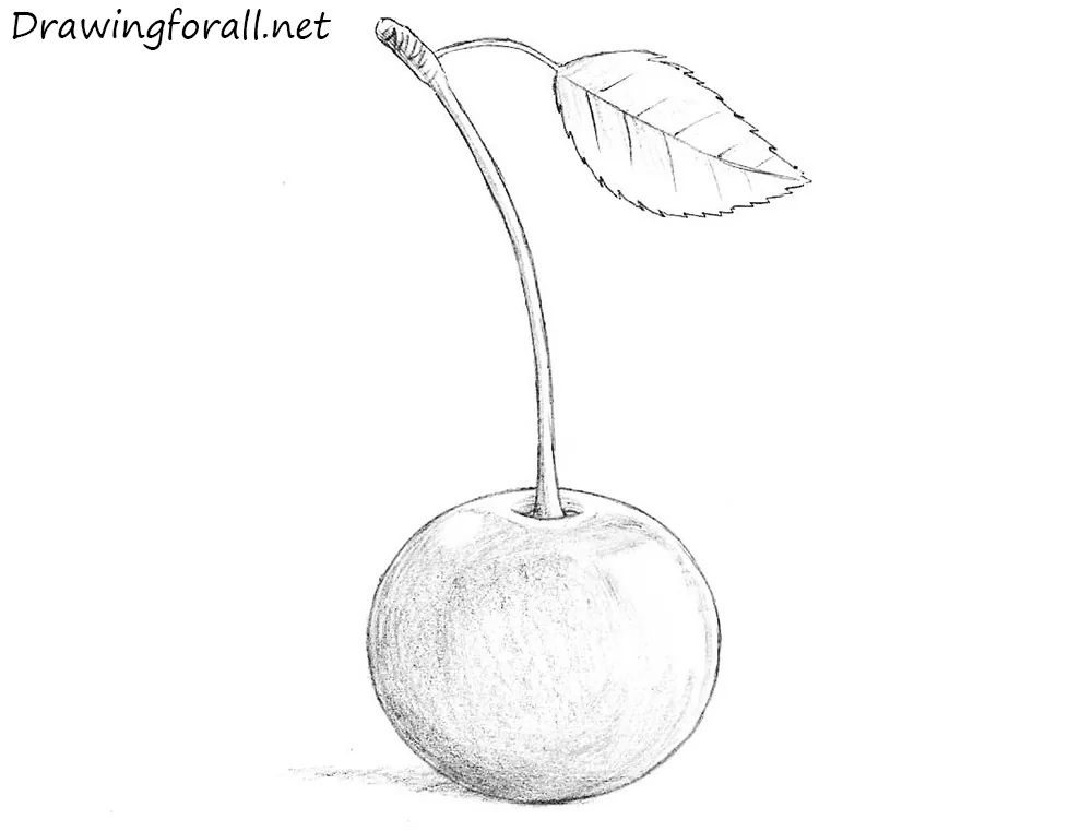 how to draw a cherry