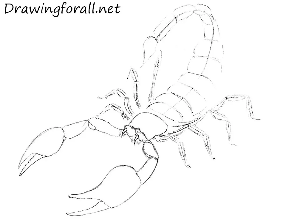 how to draw a scorpion