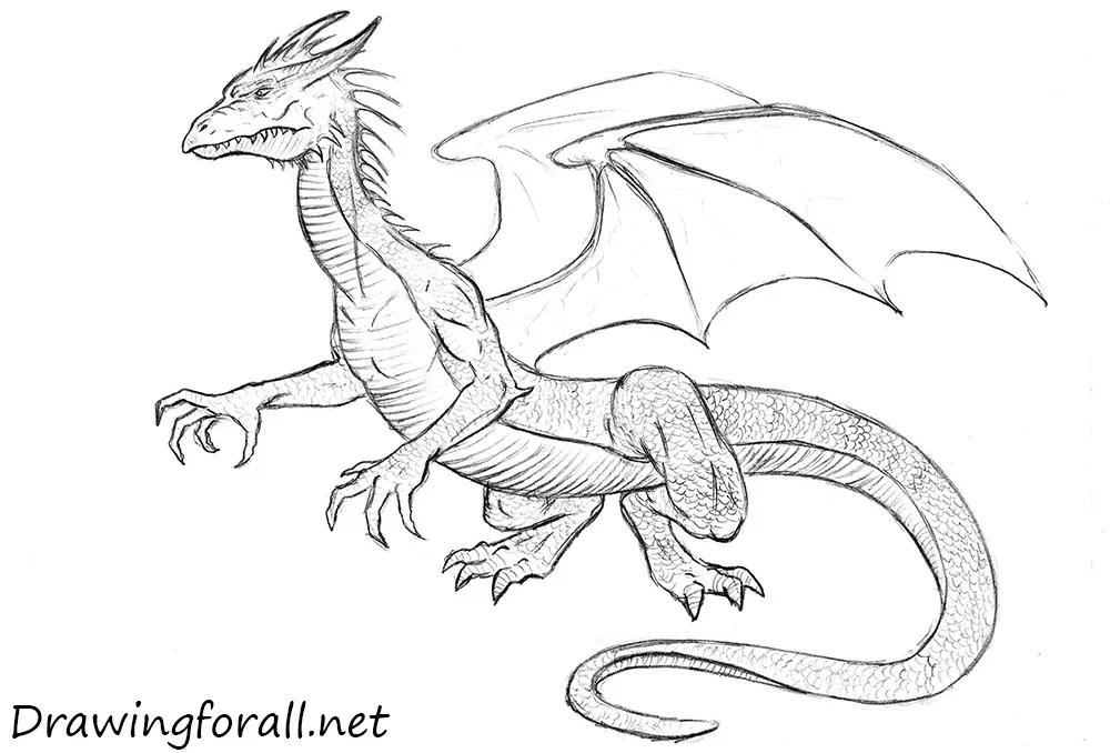 draw dragons