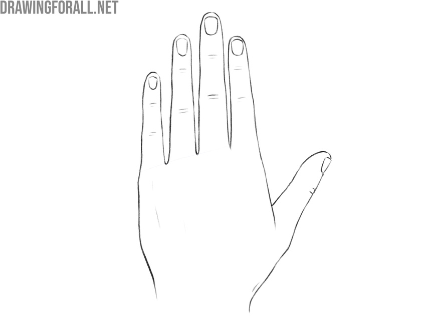 Clean the hand drawing and add nails