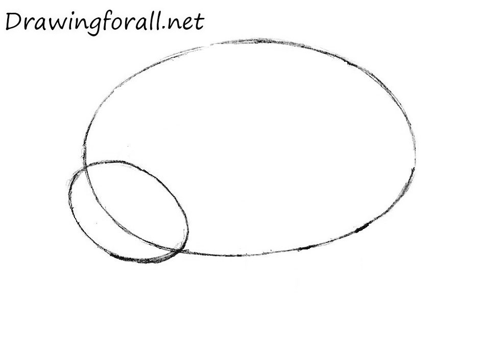 Draw the head of the cartoon ladybug