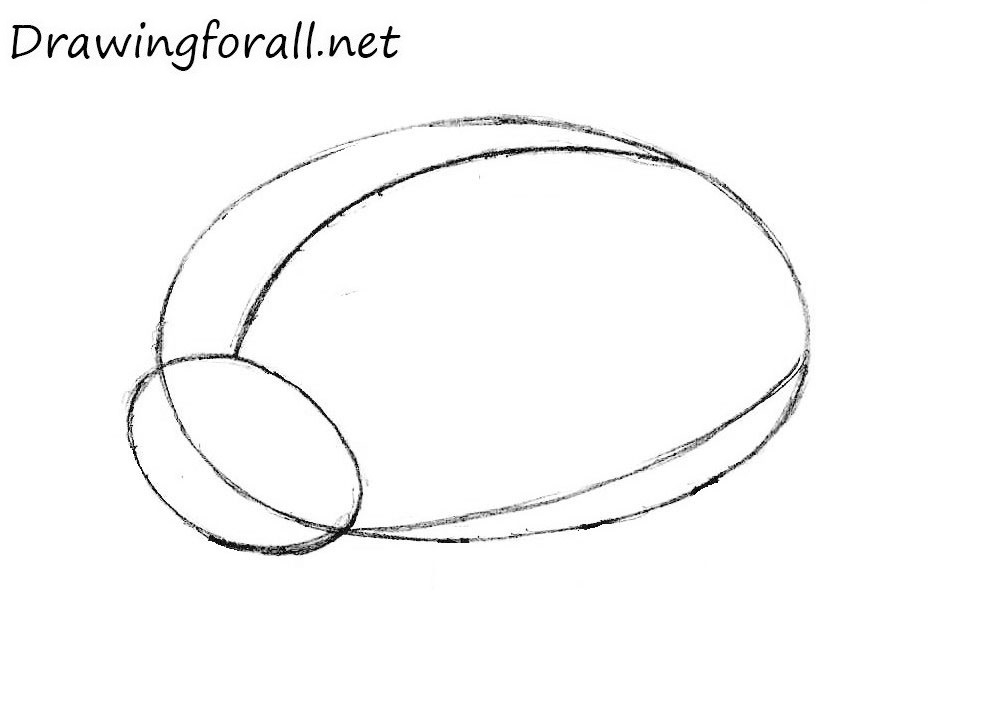 Outline the separation of the wings