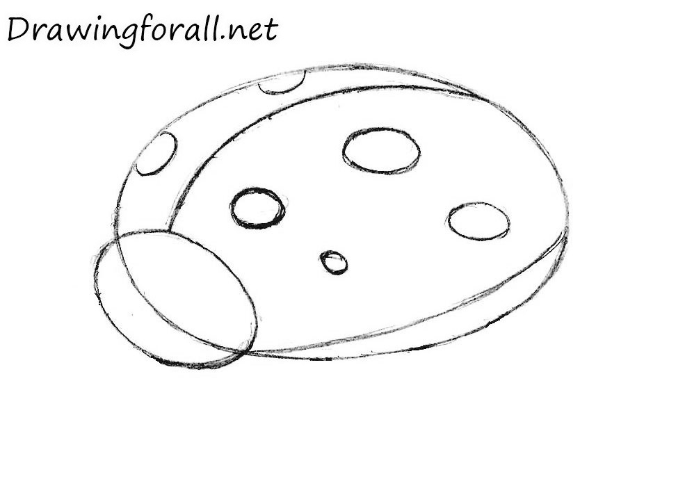 Draw the spots on the ladybug shell