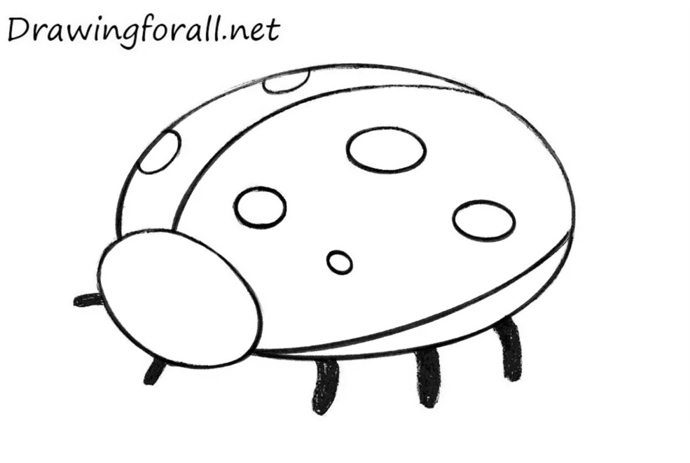Trace the ladybug with bold lines