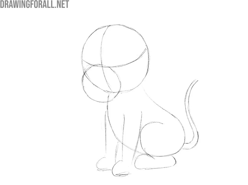 Sketch the lion’s hind leg and tail