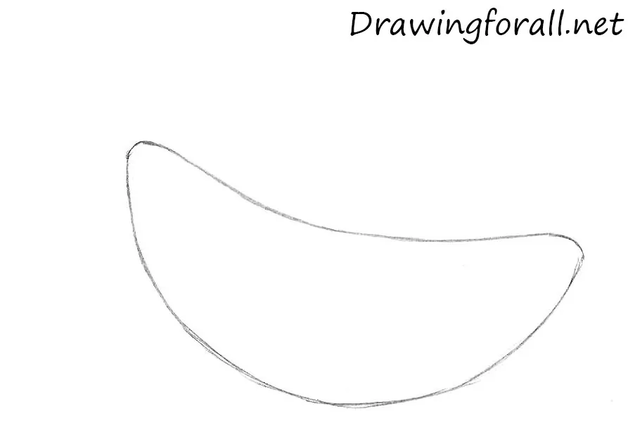 Sketch the cartoon shark body shape