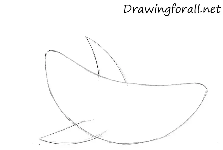 Draw the cartoon shark fins