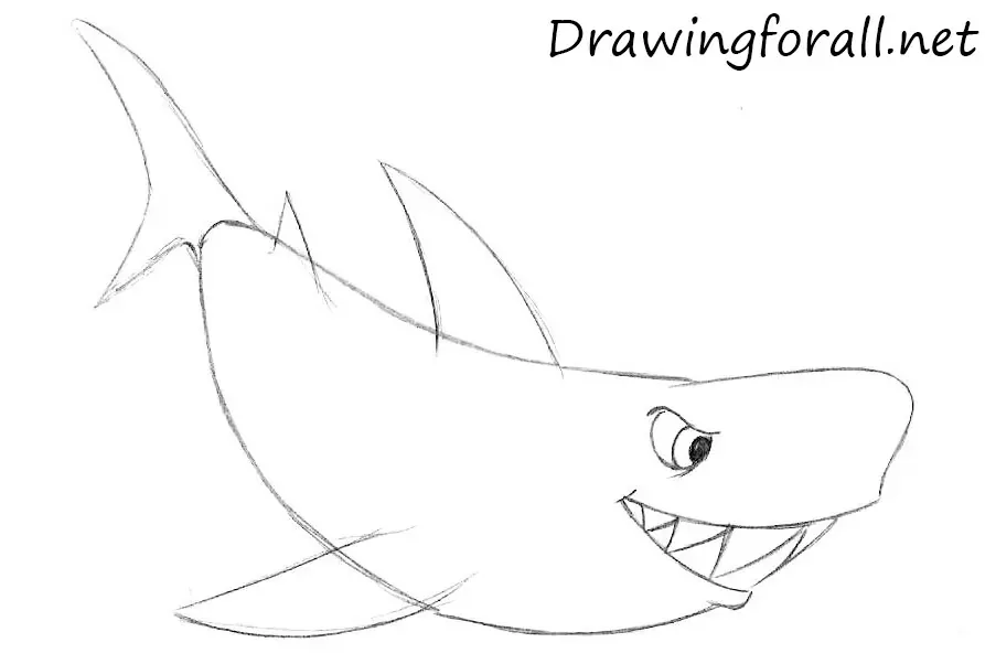 Remove unnecessary lines from the shark