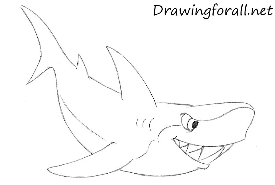 Draw the cartoon shark gills