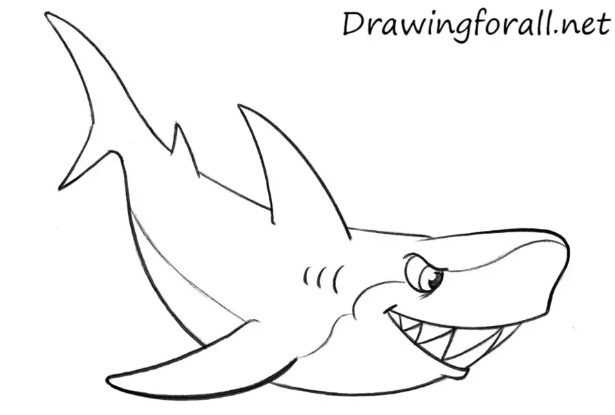 Trace the animal with bold lines