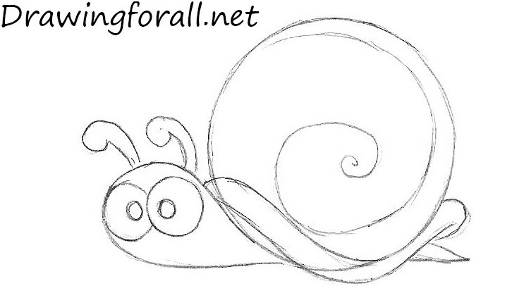 Draw the snail eyes and shell spiral