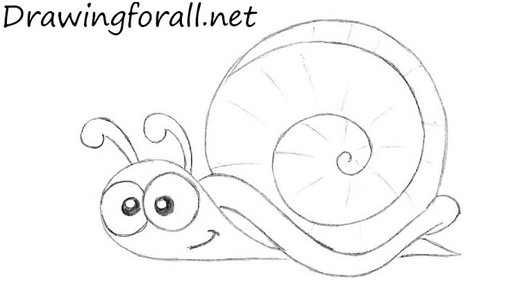 Erase guides and refine the snail drawing