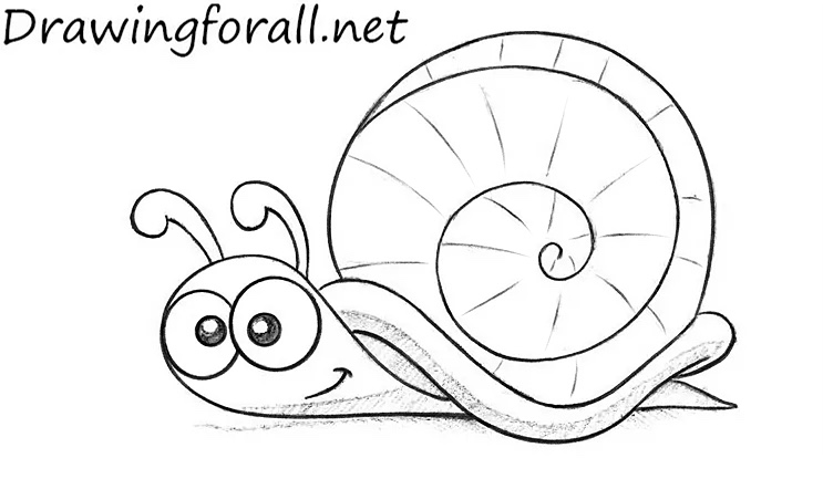 Trace the snail with bold outlines