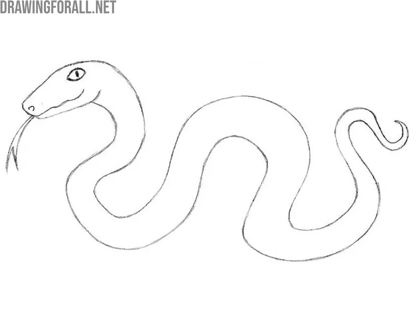 Remove unnecessary lines from the snake