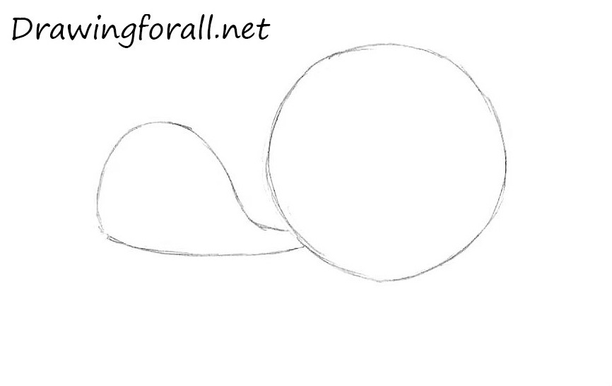 Draw the cartoon turtle head and neck