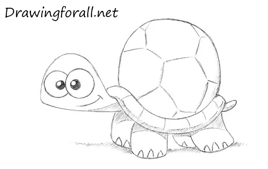 Add shading to the cartoon turtle