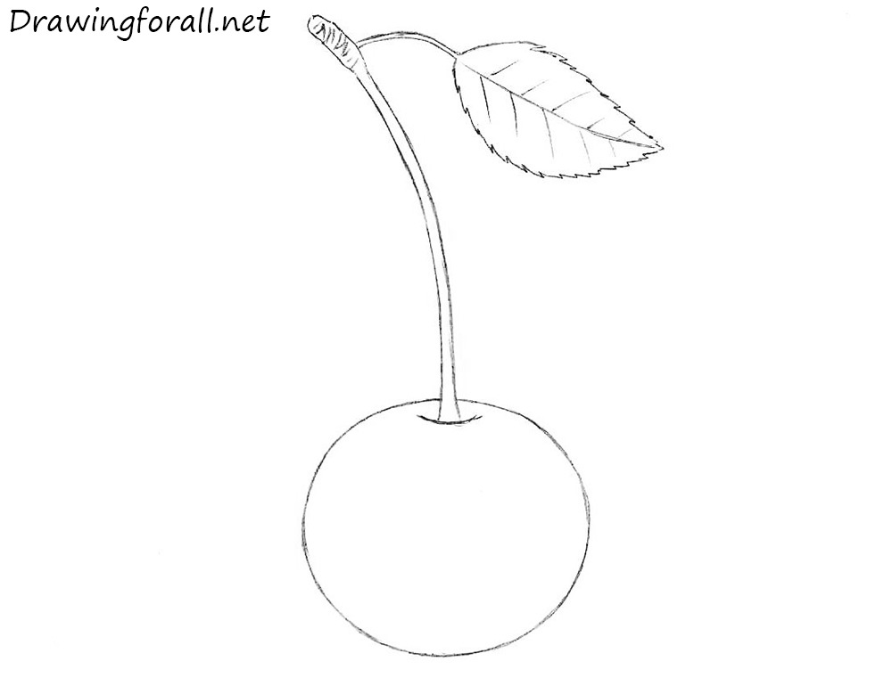 Refine the leaf details