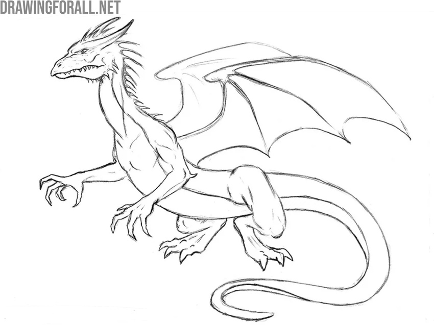 Refine and complete the tail