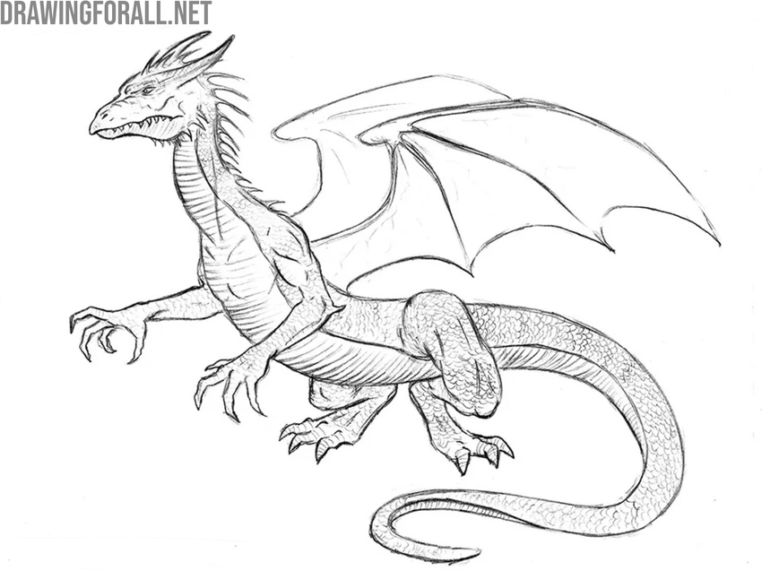 Draw the scales of the dragon