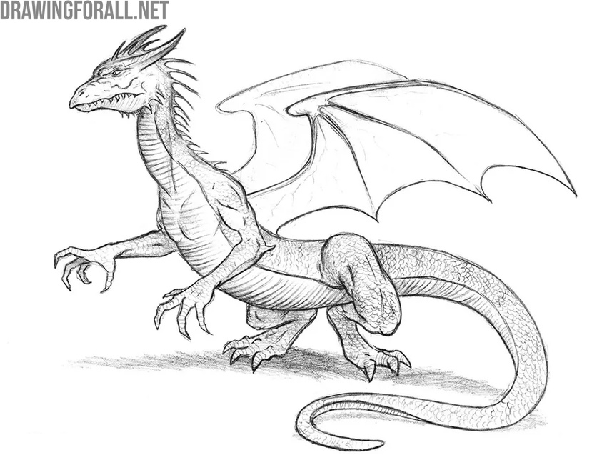 Draw shadows and finalize the dragon
