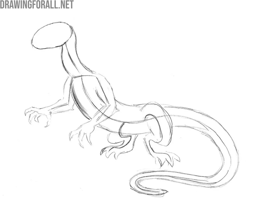 Draw the legs and tail of the dragon