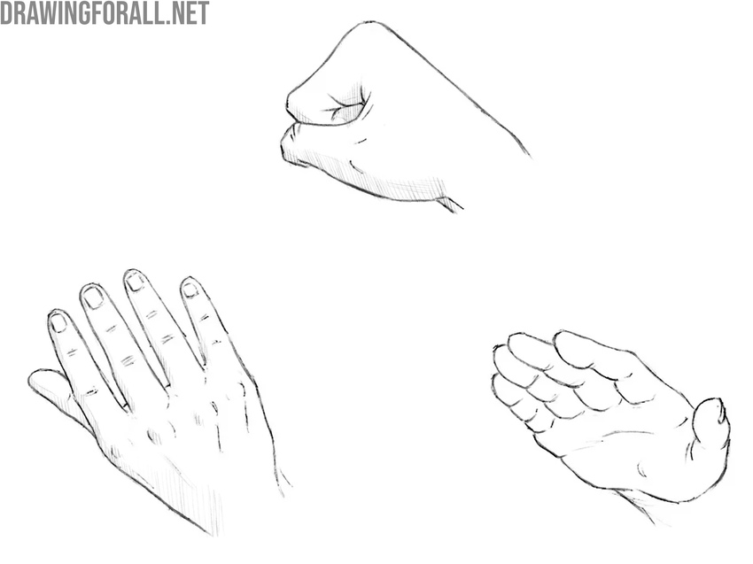 Hands drawn from different angles and sides