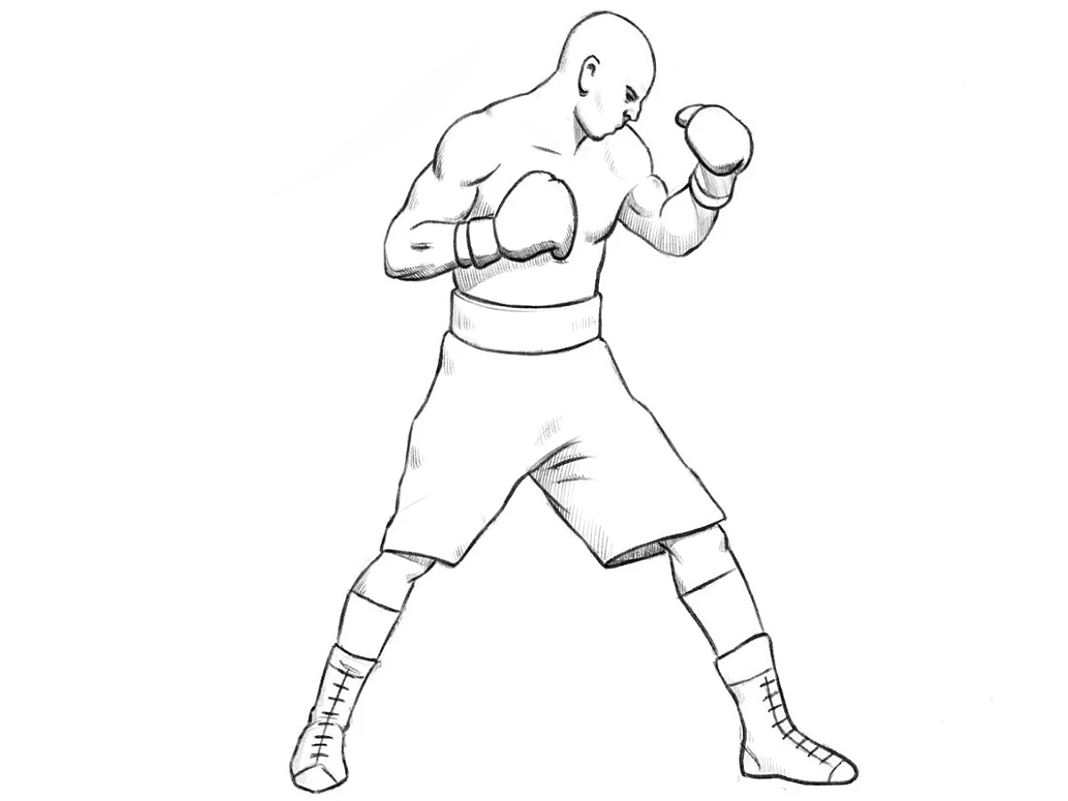 how to draw a boxer featured image