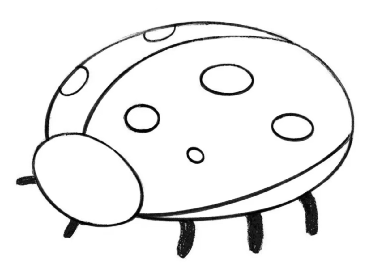 how to draw a cartoon ladybug featured image