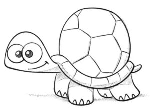 how to draw a cartoon turtle featured image