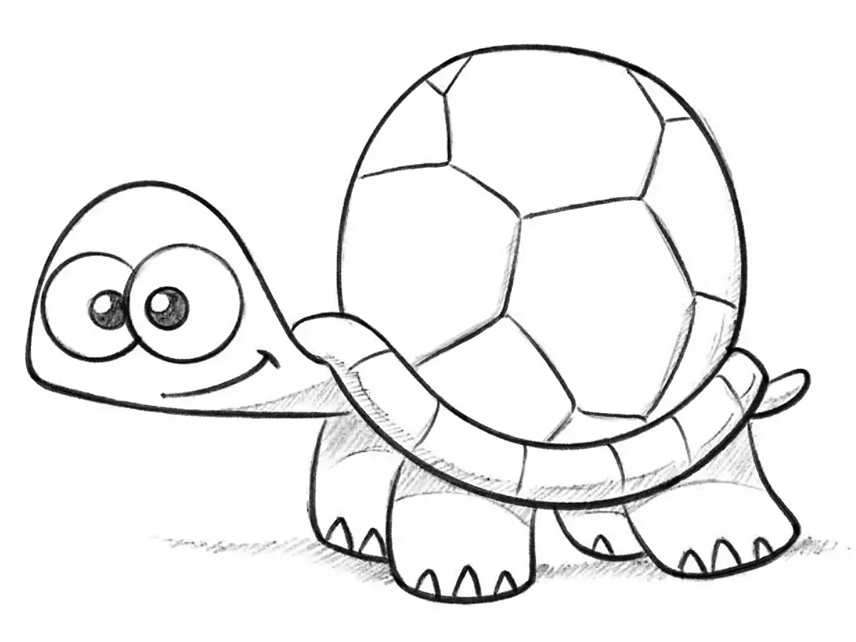 how to draw a cartoon turtle featured image