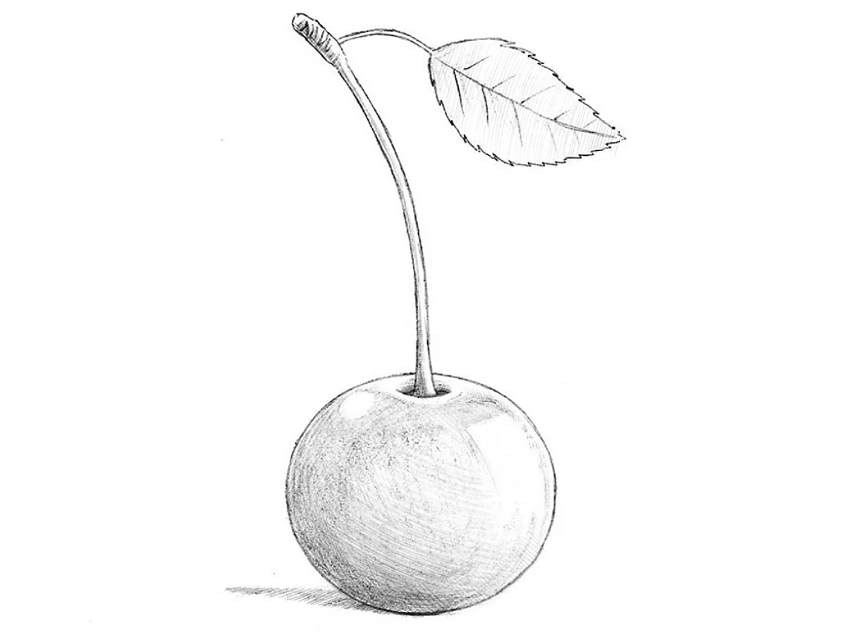 how to draw a cherry featured image