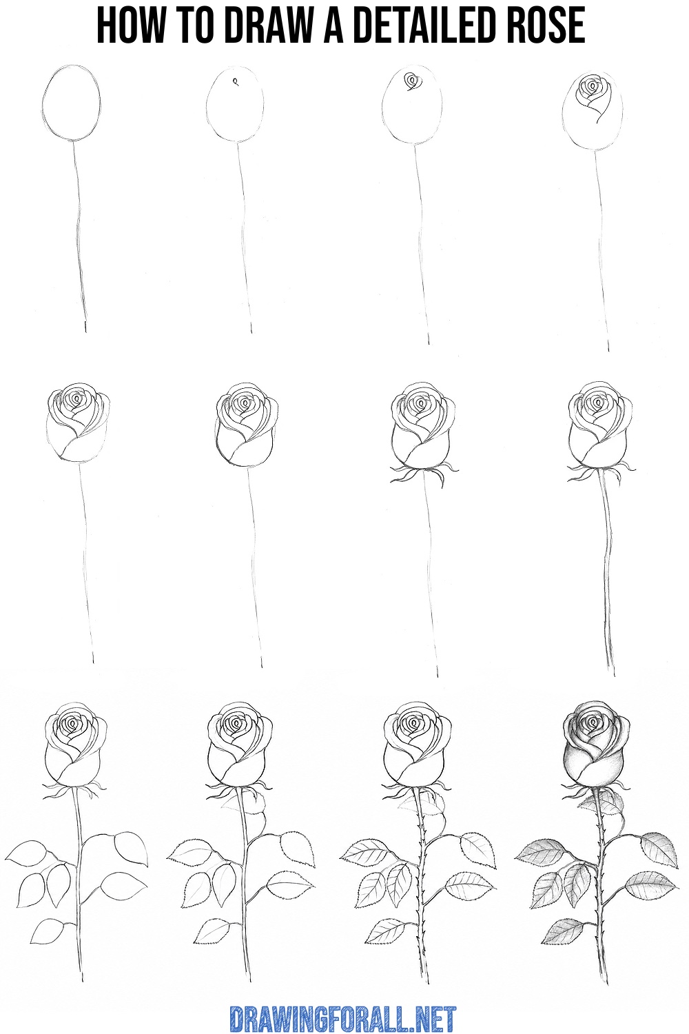 how to draw a detailed rose