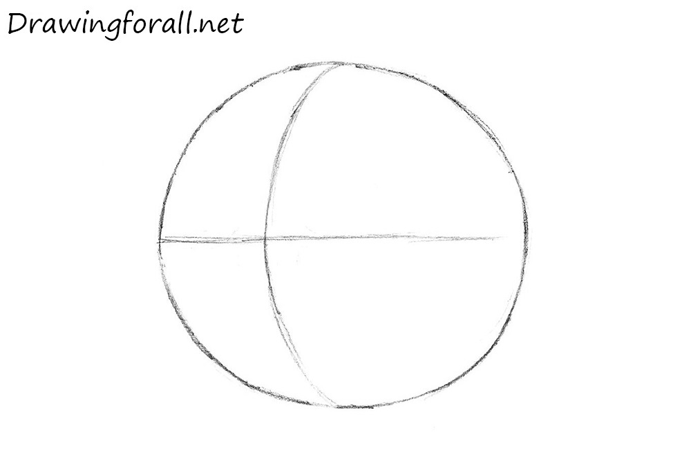 Adding vertical and horizontal facial guidelines across Kolobok's round body
