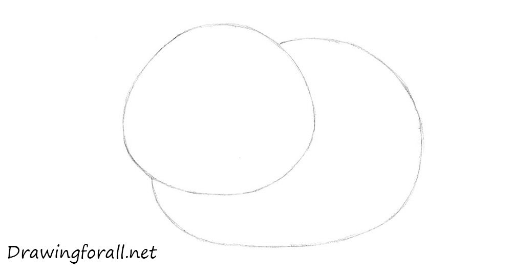 Sketch the Neko’s head and body