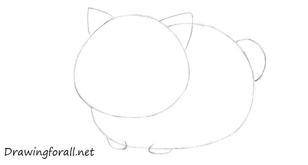 Draw the anime cat’s ears, tail, and paws