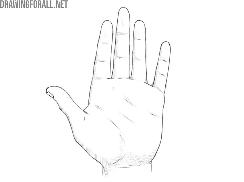 Review and refine the hand drawing