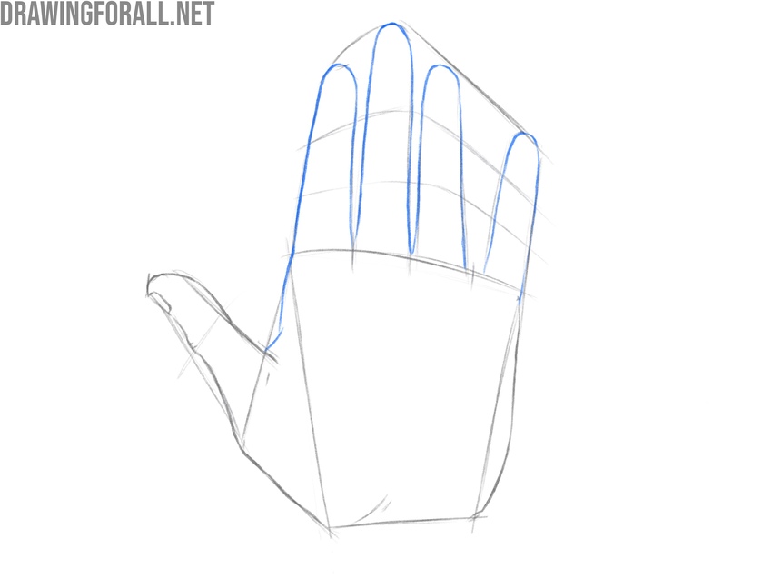 Draw the fingers in detail