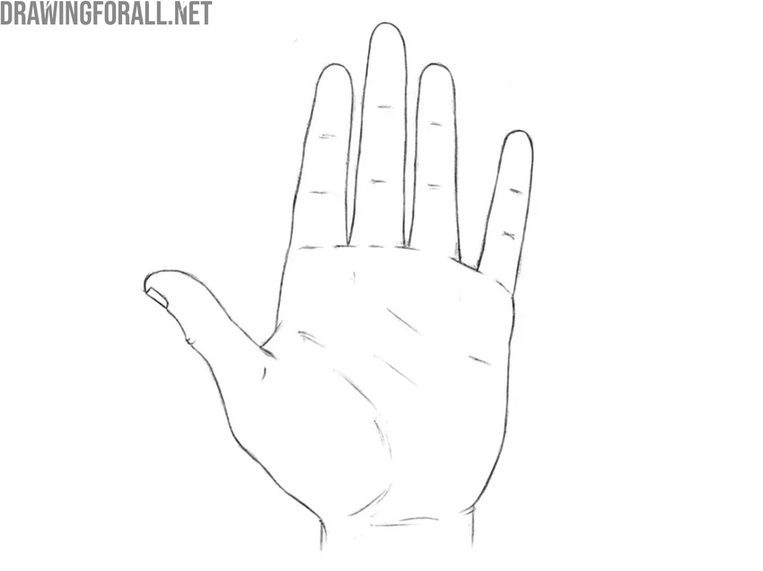 Erase the guidelines and add creases