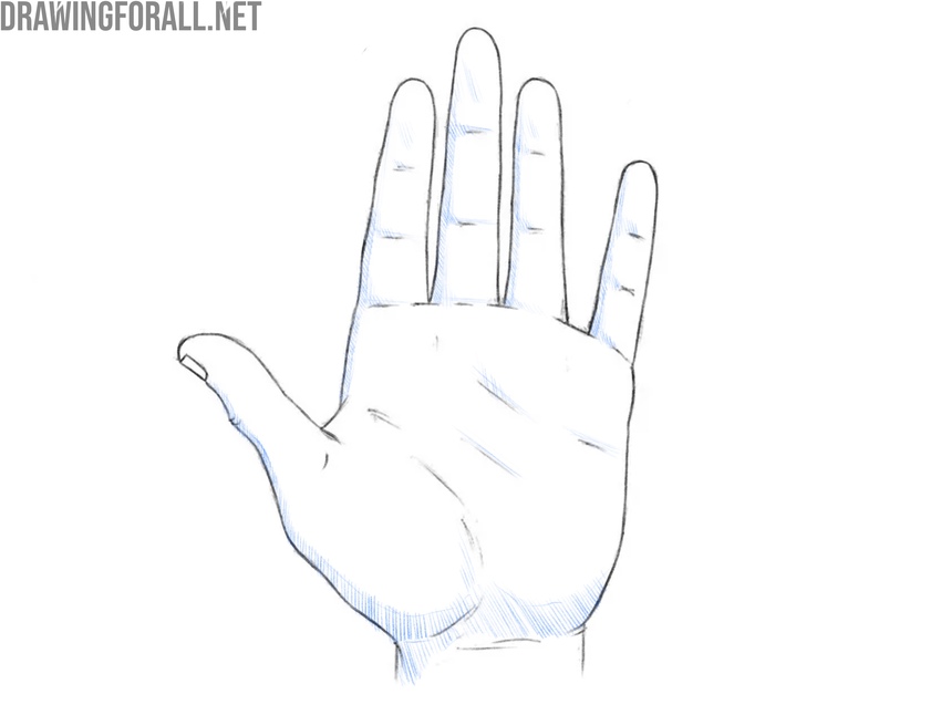 Draw shadows on the palm