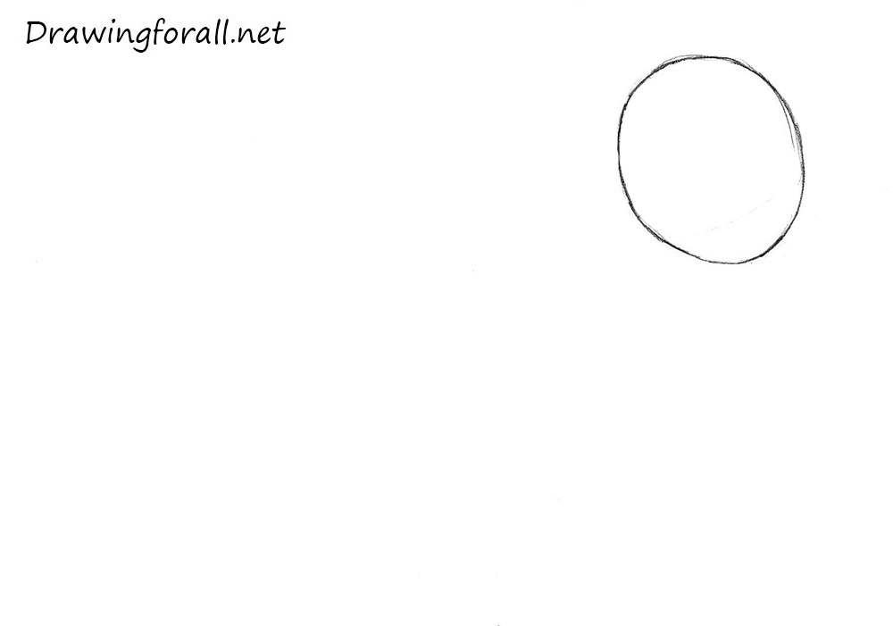 Draw the pony’s basic head shape