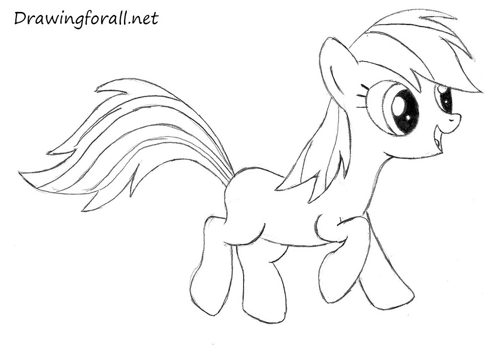 Detail the pony’s mane and tail