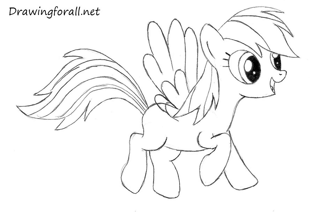 Sketch the pony’s feathered wings