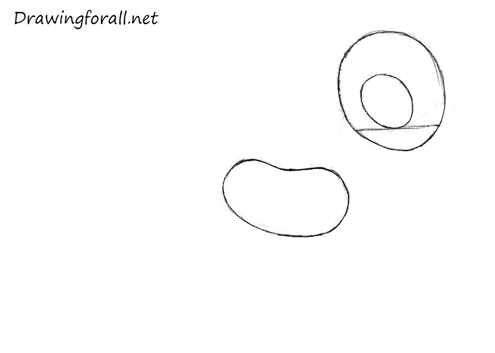 Sketch the pony’s body shape